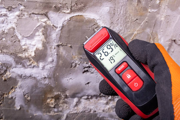 Best Residential Mold Remediation in Boonville, CA
